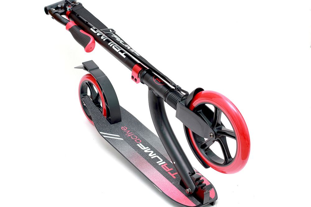 Самокат Triumf Active NL300-230