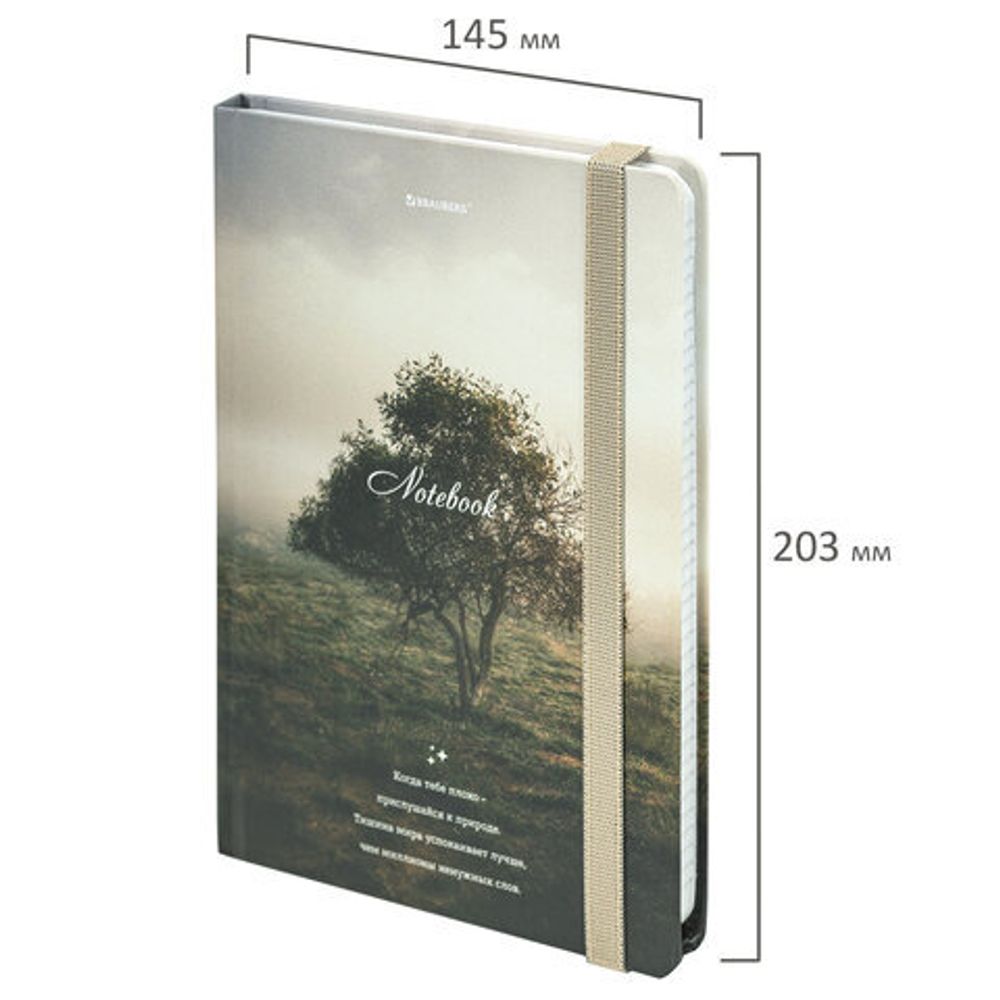 Блокнот с резинкой в клетку 96 л., А5 145х203 мм, твердая обложка, BRAUBERG, "Nature", 115534