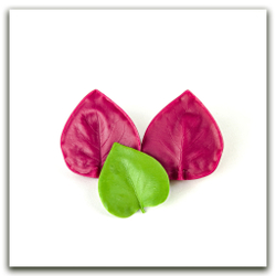 Листья сирени большие