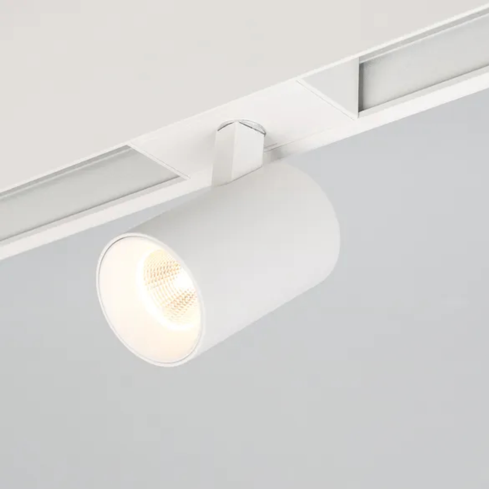 Светильник MAG-SPOT-45-R85-5W Day4000 (WH, 20 deg, 24V) (Arlight, IP20 Металл, 5 лет) 030652