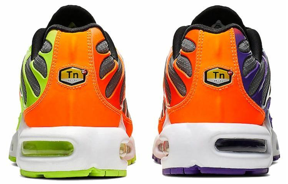 Кроссовки Nike Air Max Plus Color Flip