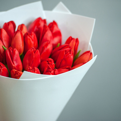 Красные тюльпаны в белом оформлении