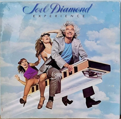 Joel Diamond - Experience