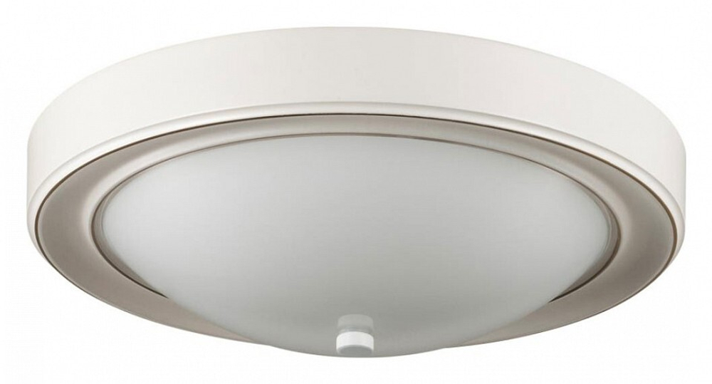 Накладной светильник Lumion 5279/2C