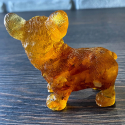 Корги
