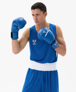Перчатки боксерские INSANE RBF, синий, 10 oz
