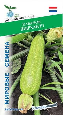 Кабачок Шерхан F1 5шт Мировые Семена VITA GREEN