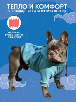 Толстовка для собак пород французского бульдога, мопса, голубой,M