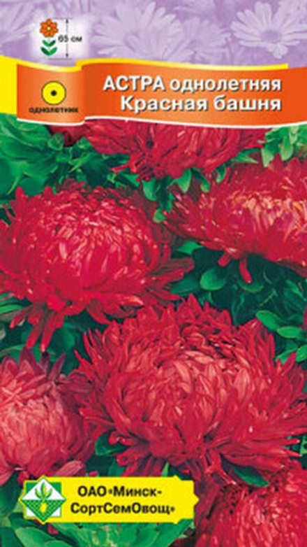Астра пионовидная "Красная башня" 0.3г., Германия.