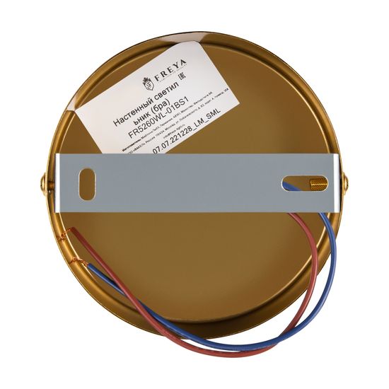 Настенный светильник (бра) Freya FR5260WL-01BS1