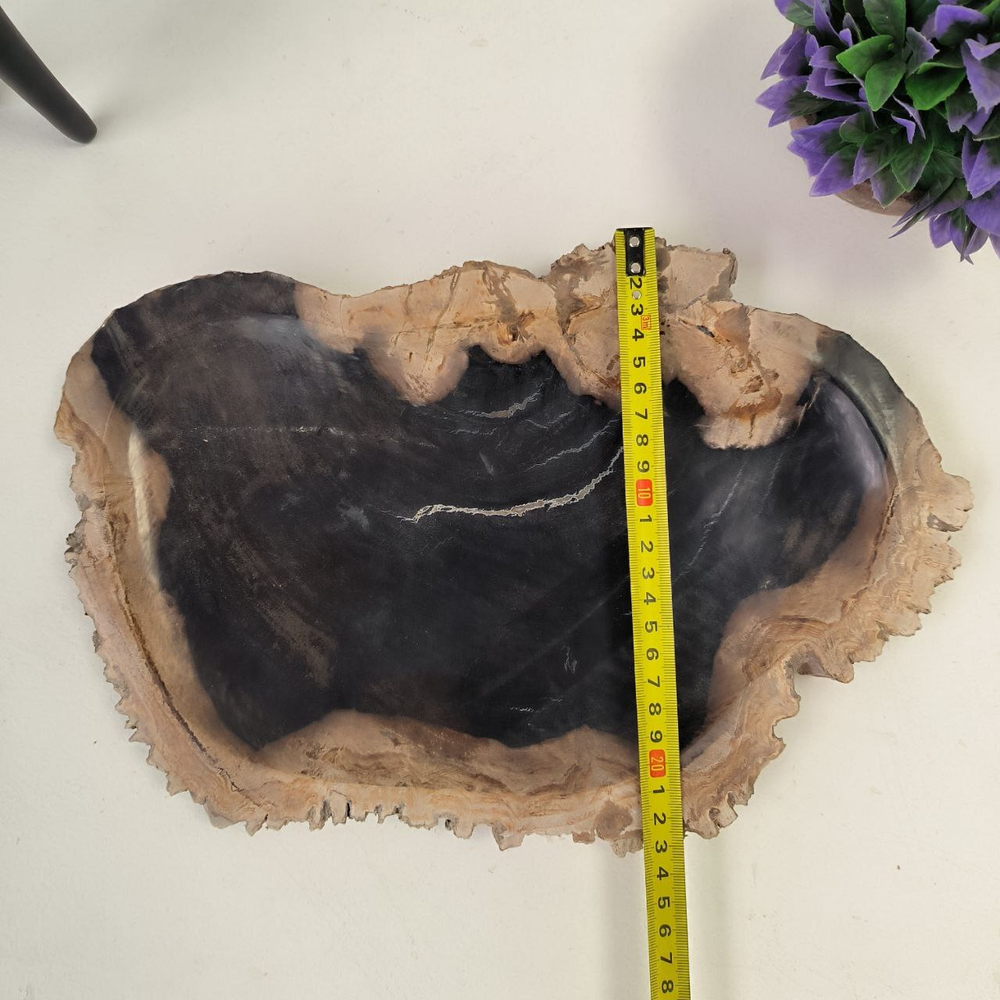 Набор из окаменелого дерева 3 предм Fossil Set NF-62867 поднос 23см*36см