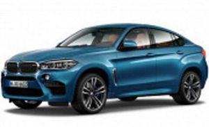BMW X6 F16 (15- )