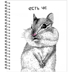 НОВИНКА! Тетрадь общая 96 листов на спирали "Приколы"