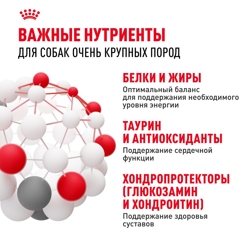 Сухой корм Royal Canin Giant Adult для взрослых собак очень крупных размеров от 18 месяцев Сухой корм Royal Canin Giant Adult для взрослых собак очень крупных размеров от 18 месяцев