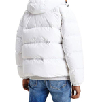 Tommy Hilfiger Jacket, DM0DM12171-YBR