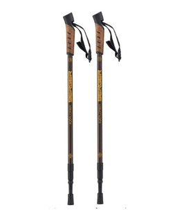 Палки для скандинавской ходьбы BERGER Explorer