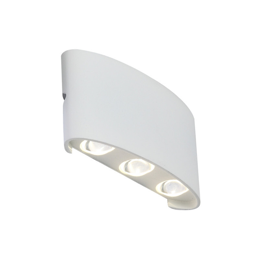 Уличный настенный светильник ST-Luce SL089.501.06