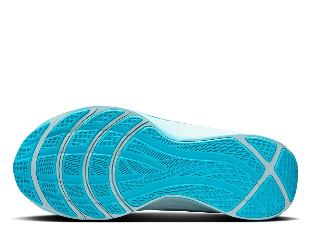 Баскетбольные кроссовки Nike LeBron TR 1 Blue Shoes