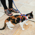 Шлейка+поводок ATLANTA Zee.Cat