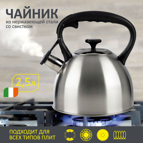 Чайник металлический со свистком Mallony POESIA