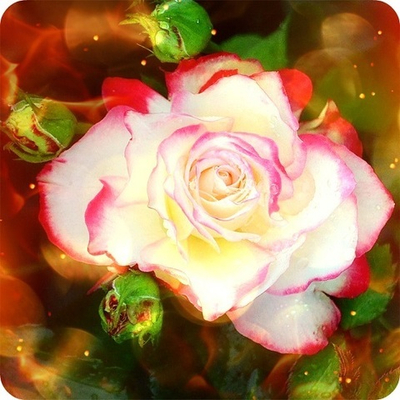 Практический Интенсив 
"Эмоциональная Алхимия". Часть 9