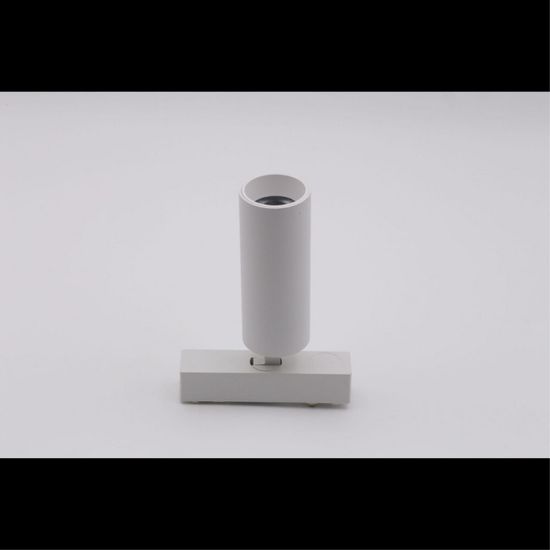 Светильник трековый APL.0113.10.09