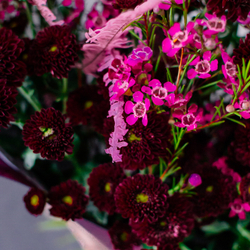 53. Букет с хризатемами сантини в бордовых оттенках