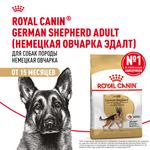 Royal Canin German Shepherd Adult Немецкая овчарка Эдалт Корм сухой для взрослых собак породы Немецкая овчарка 3кг