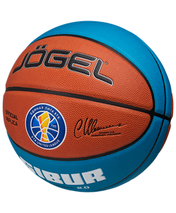 Мяч баскетбольный Pro Training ECOBALL 2.0 Replica №5