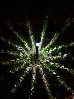 Уличные светильники на солнечных батареях садовые/ 10 шт