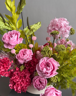 Композиция в кашпо Хасмантиум