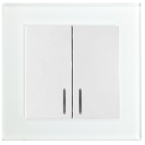 STEKKER Катрин Выключатель СУ 2 кл. 10A инд. белый рамка стекло  GLS10-7002-01 39163