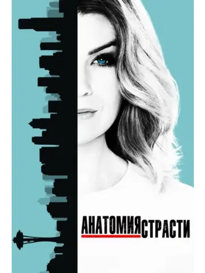 Анатомия страсти, 21 сезон (DVD-R)