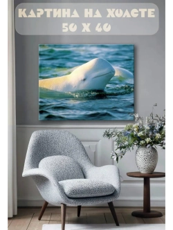 Картина на стену 40 X 50 Белуга