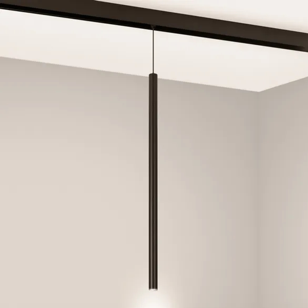 Светильник MAG-ORIENT-SPOT-HANG-L500-R20-3W Warm3000 (BK, 20 deg, 48V) (Arlight, IP20 Металл, 5 лет) 046897