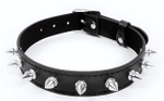 Черный ошейник с серебристыми шипами (Цвет: черный с серебристым)