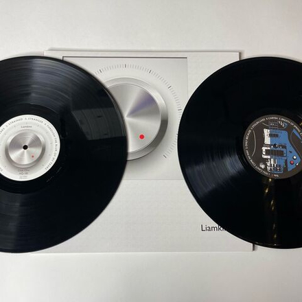 Винтажная виниловая пластинка LP Liamkins Reason Softly Speaks Or Just Make It Louder (Россия 2013)