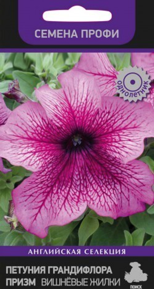 Петуния грандифлора Призм Вишнёвые жилки