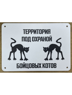 Табличка "Осторожно быстрая собака"