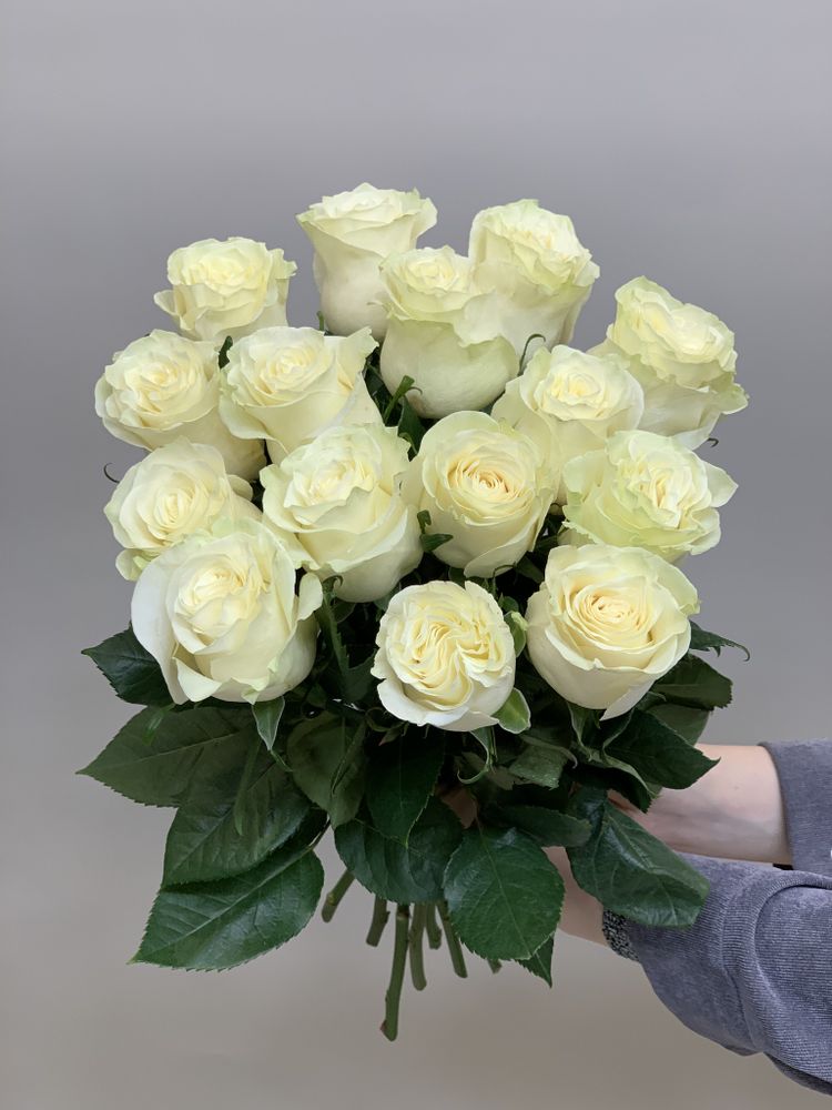 Букет 15 белых роз Эквадор 50см в ленте
