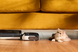 Вертикальный пылесос Roborock F25 ALT (global)