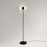 Напольный светильник (торшер) Maytoni MOD152FL-L1BK