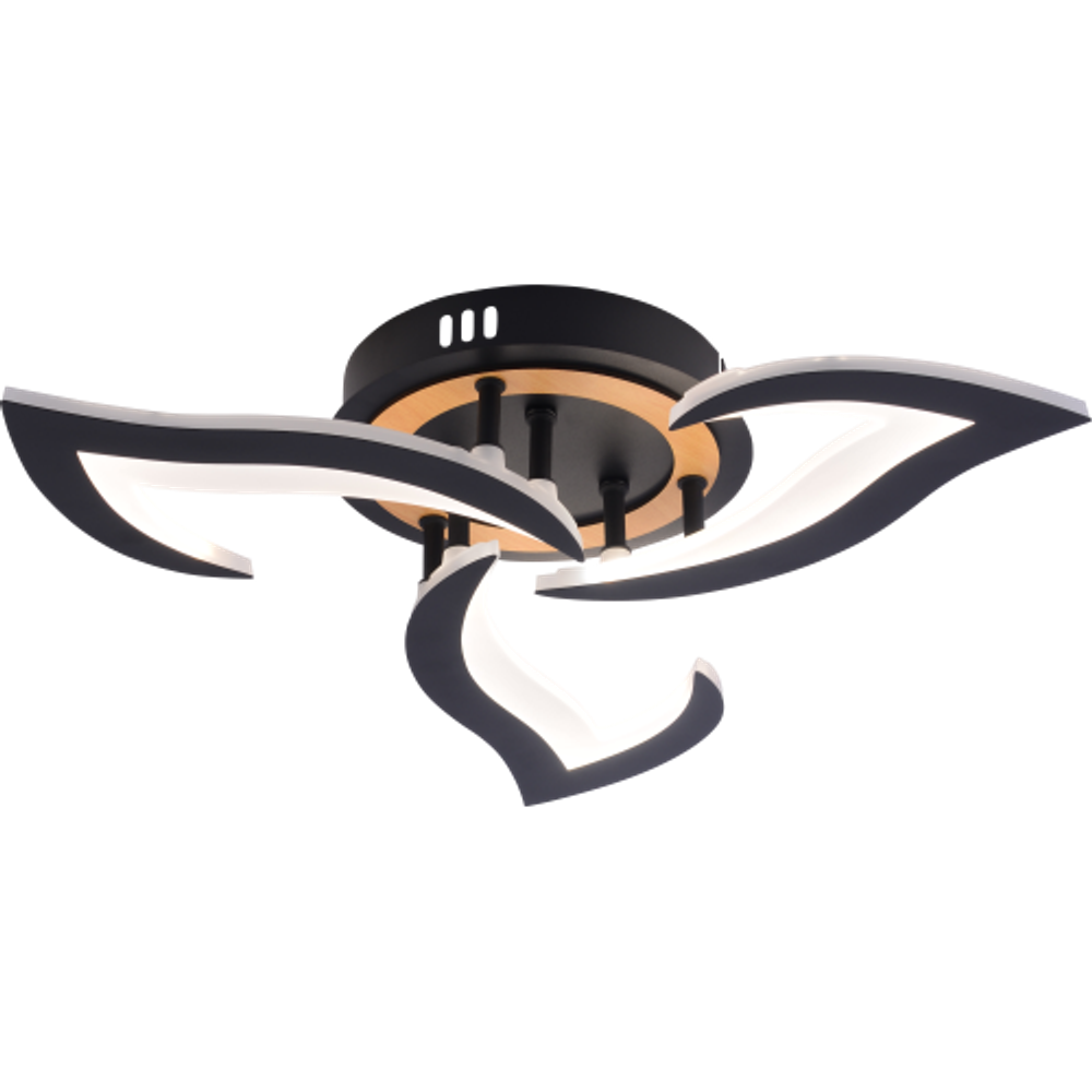 Светильник потолочный светодиодный Rivoli Cassandra 6194-703 LED 3000-6250К 42 Вт с пультом | Rivoli