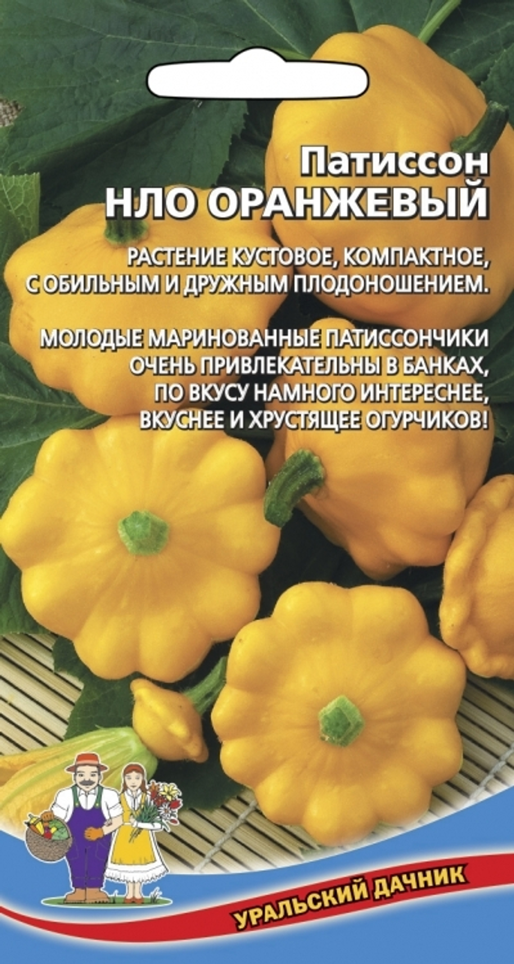патиссон НЛО оранжевый