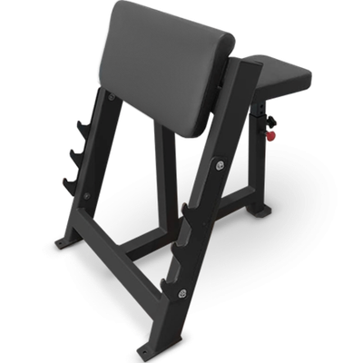 Скамья Скотта BRONZE GYM PARTNER AL-303