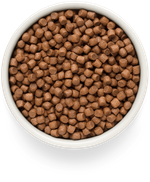 Premier dog salmon & turkey adult mini лосося с индейкой для собак мелких пород
