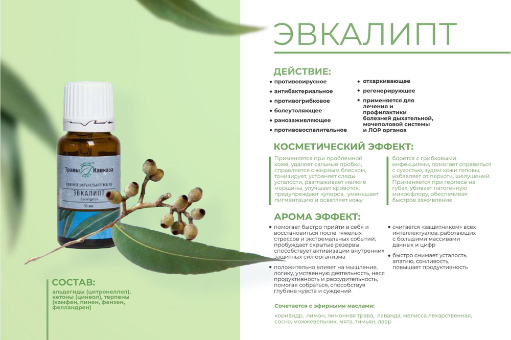 Эфирное масло Эвкалипт
