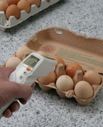 Инфракрасный термометр Testo 831 0560 8316