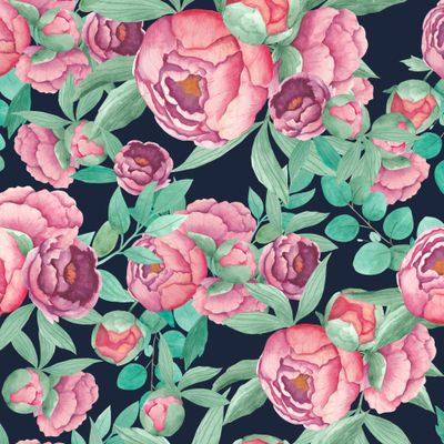 Пионы на темно-синем фоне