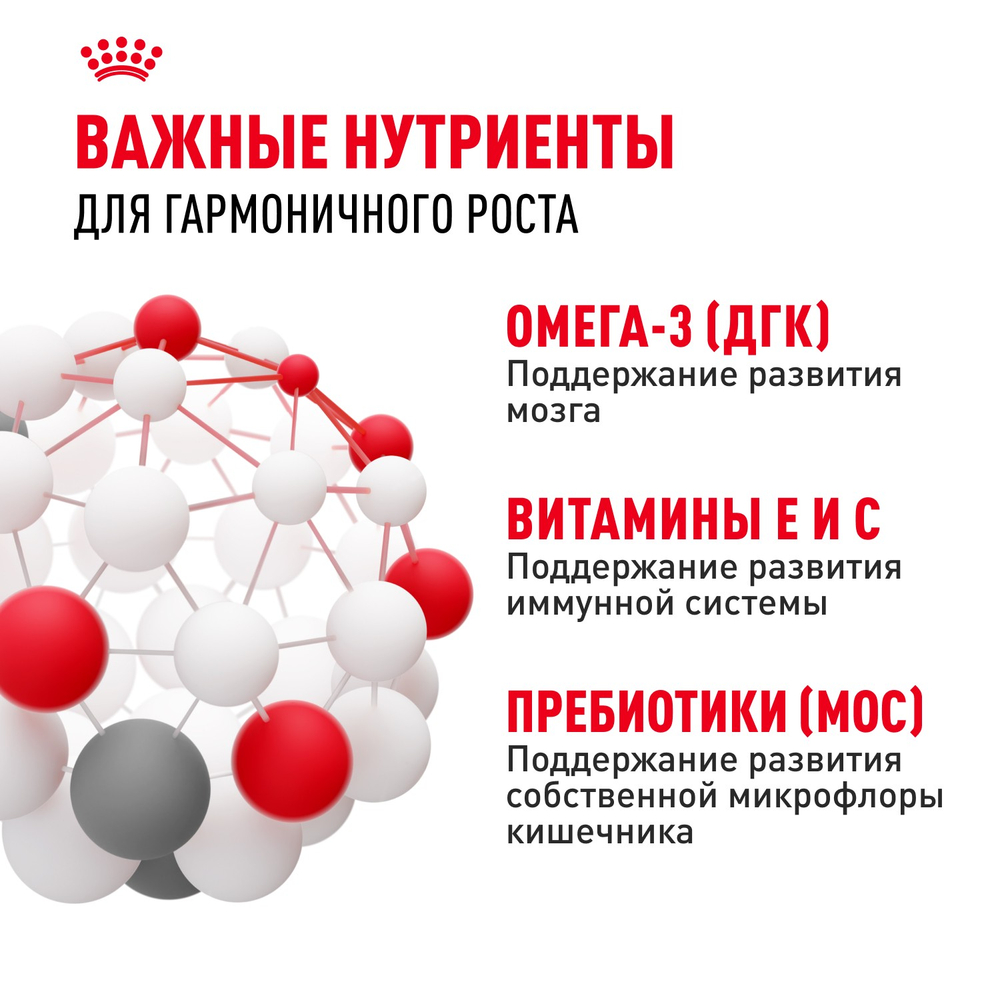 Royal Canin Mini Puppy Мини Паппи Корм сухой для щенков мелких пород в возрасте до 10 месяцев 4кг